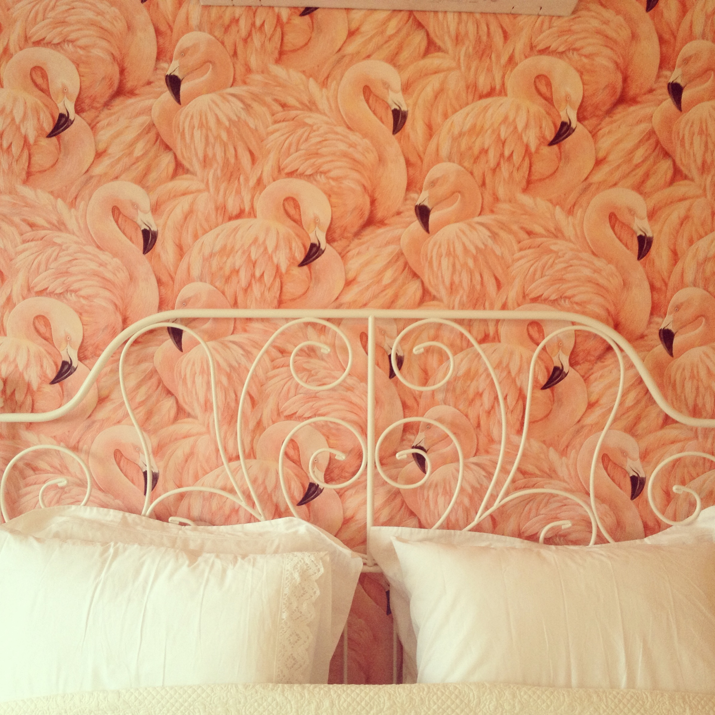 Flamingo Wallpaper Fun