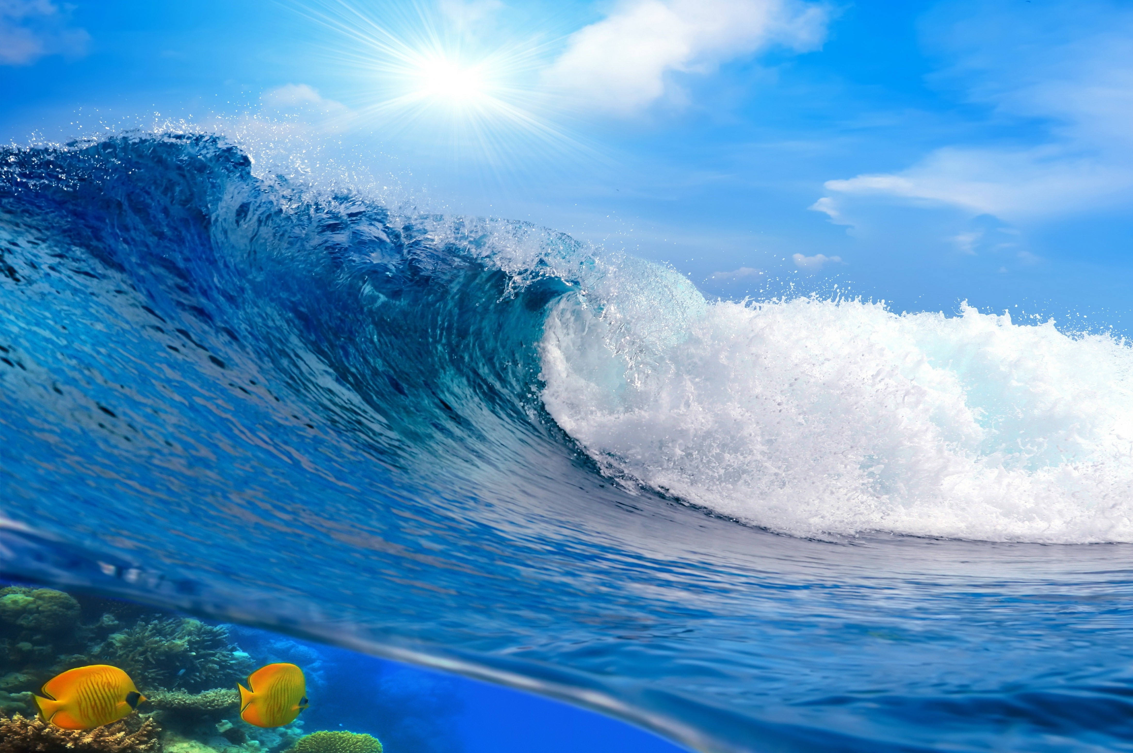 A vibrant ocean wave curls under a bright sun, revealing a colorful coral reef and tropical fish beneath the surface