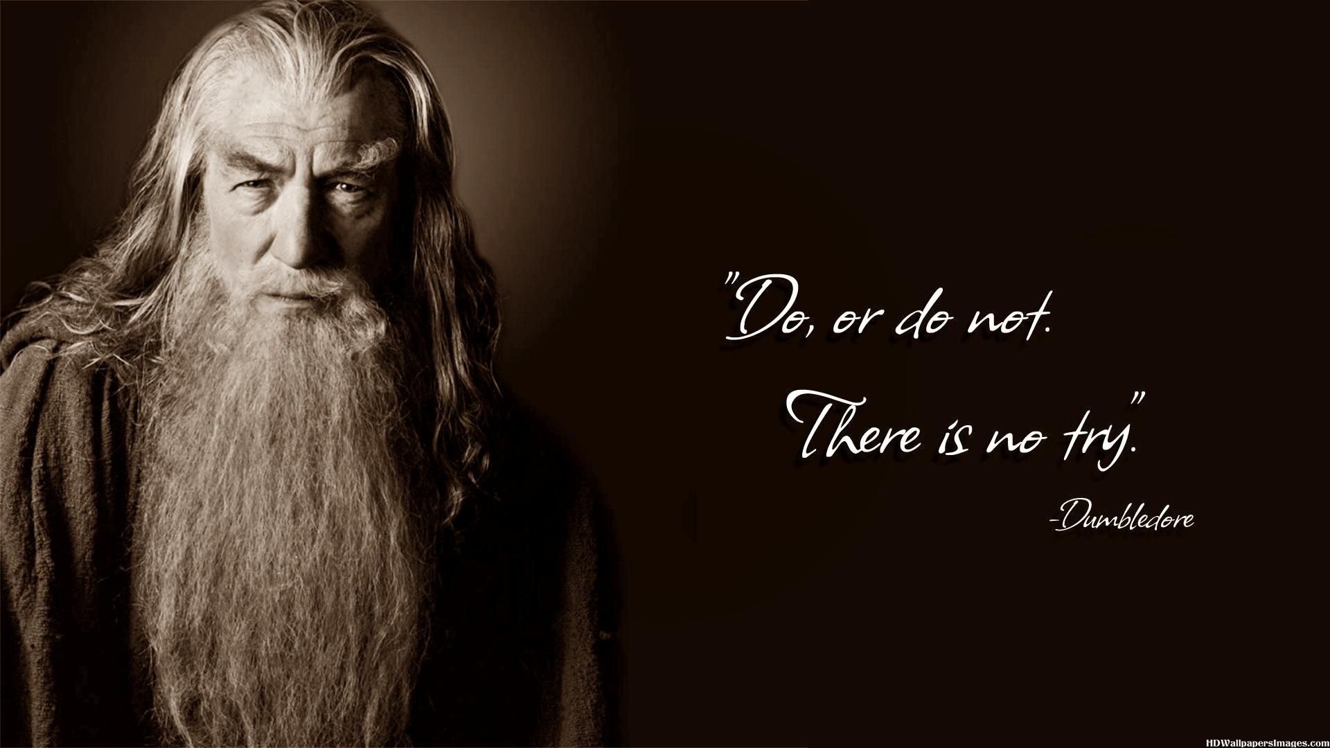 Funny Dumbledore Quotes