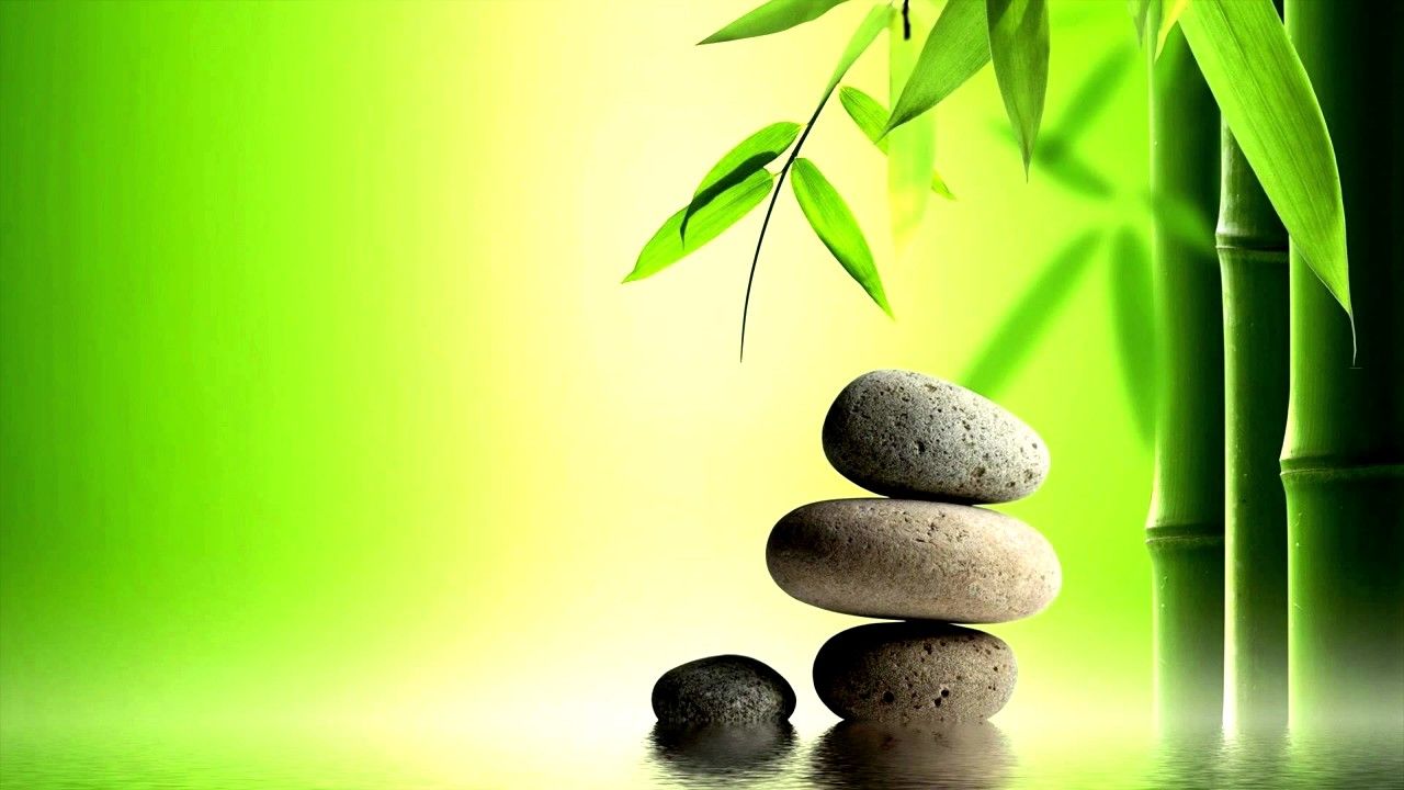 Mindfulness Bamboo Wallpaper Widescreen