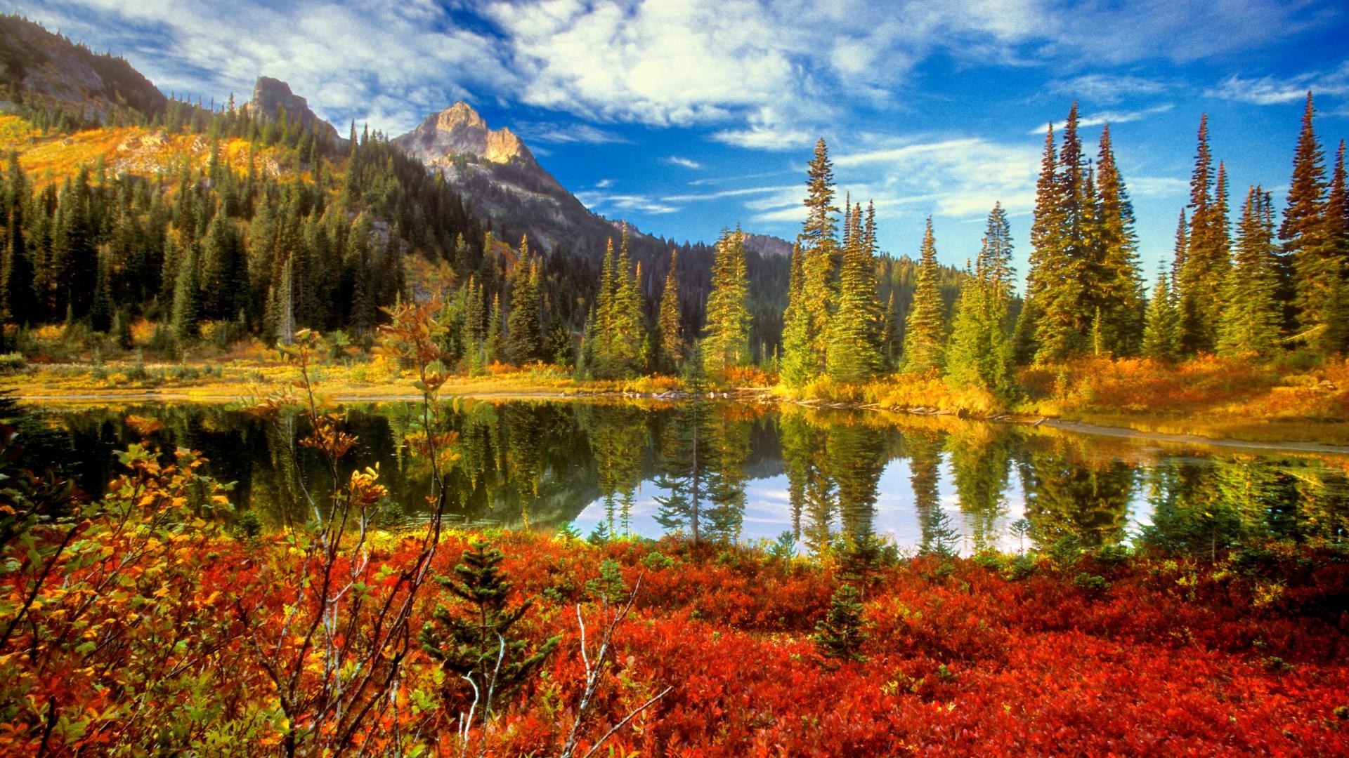 HD Nature Wallpaper
