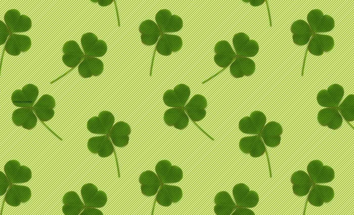 Shamrock 4k Wallpaper