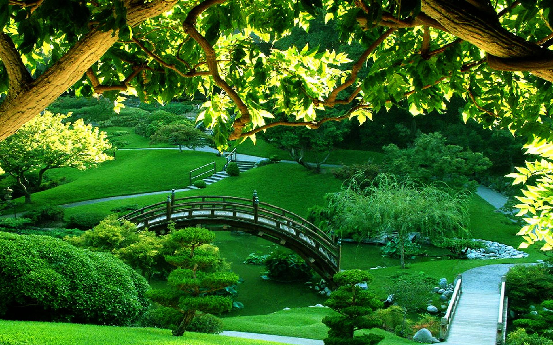 Garden Wallpaper