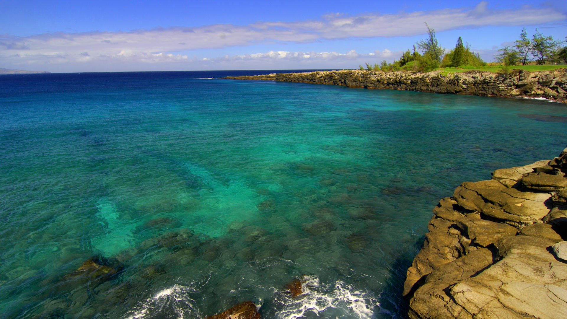 Beach Wallpaper Maui Background Hawaii Background