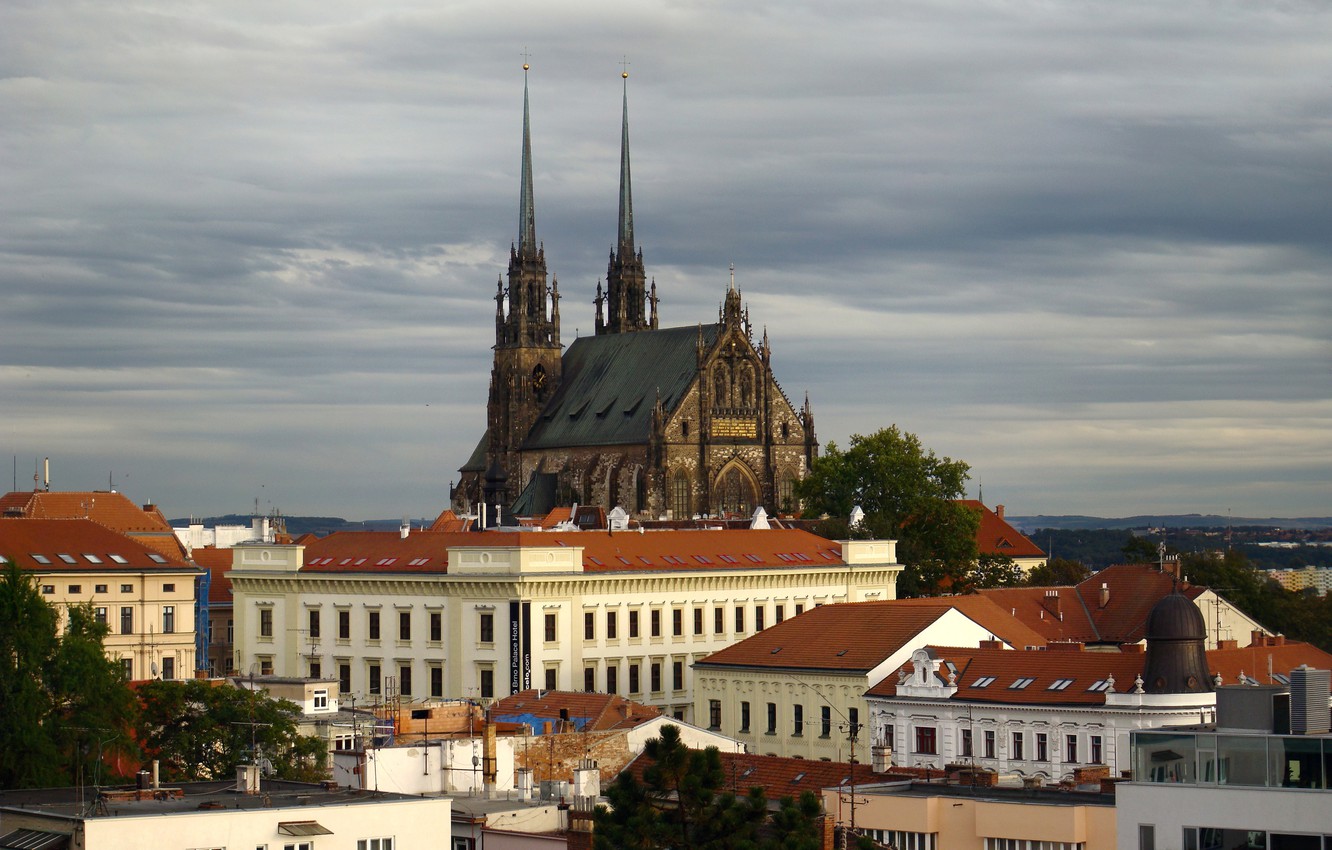 Wallpaper Czech Republic Cathedral The Brno