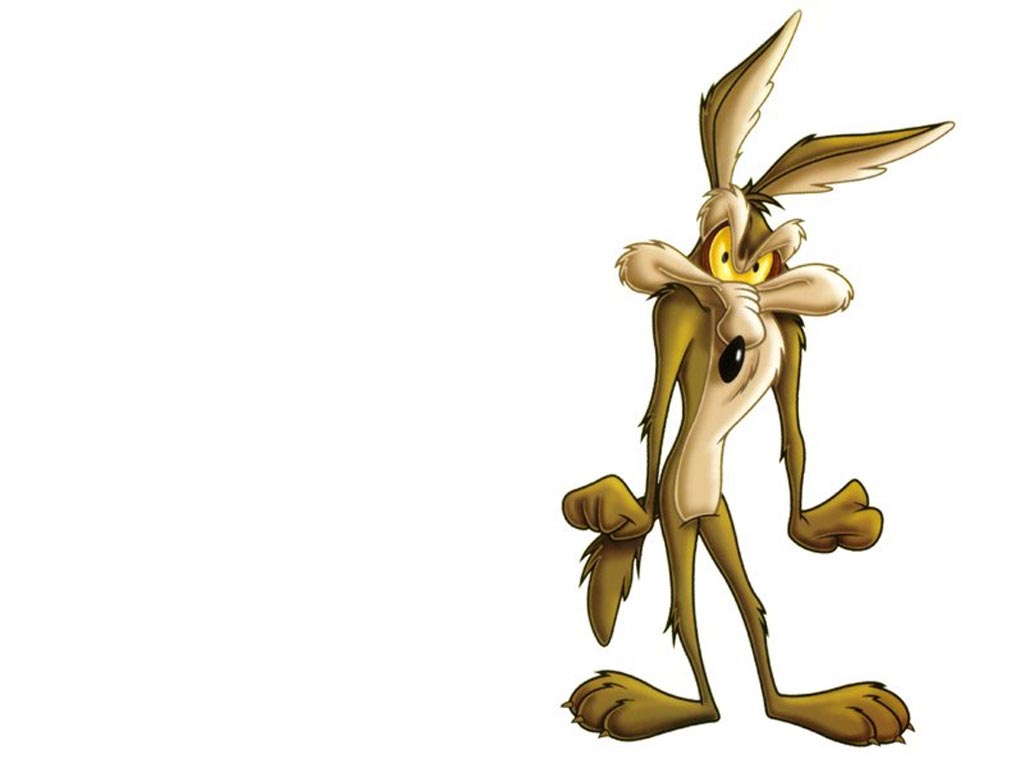 Wile Coyote Wallpaper