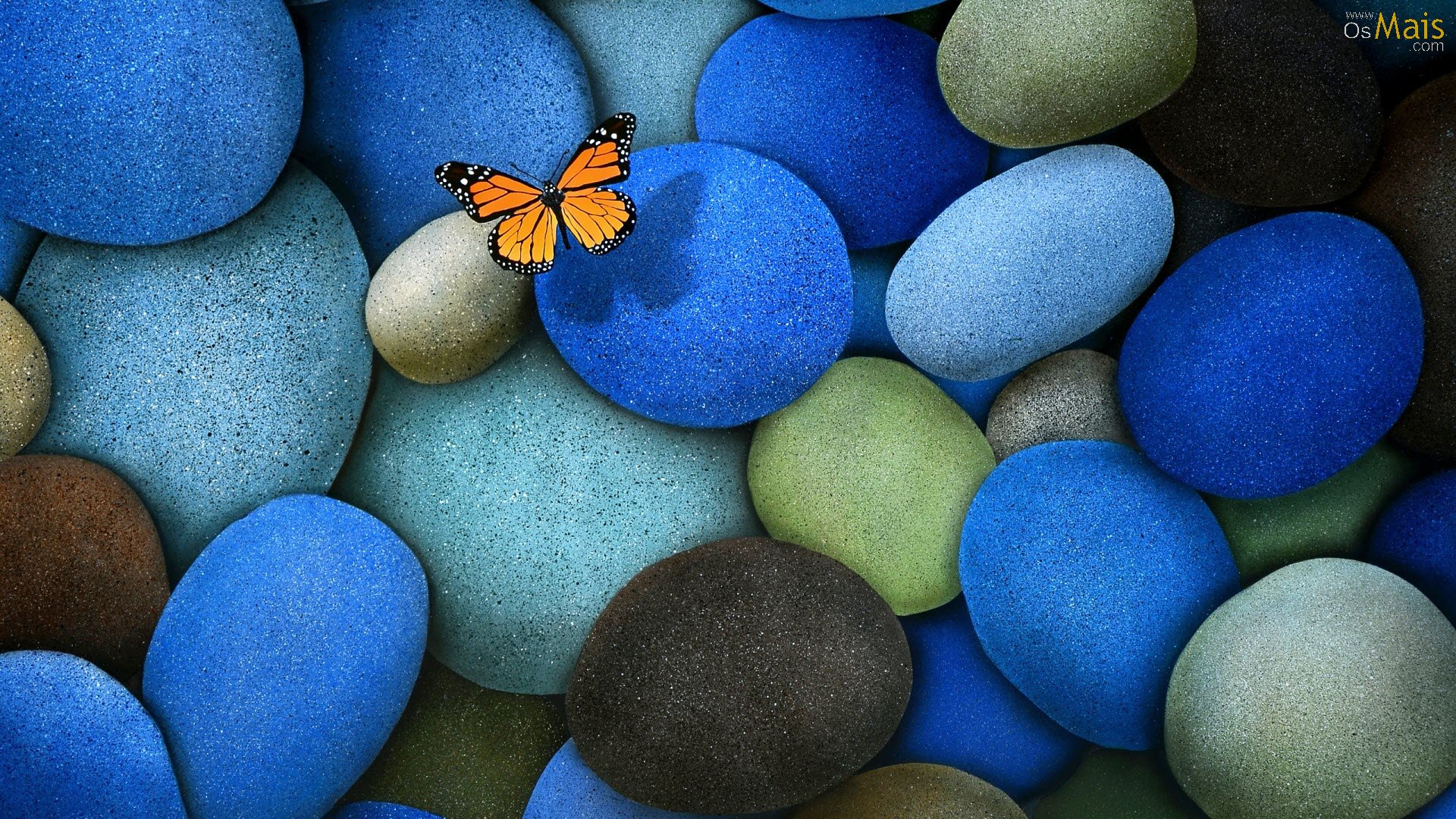 Papel De Parede Borboleta Laranja Butterfly Desktop Wallpaper HD