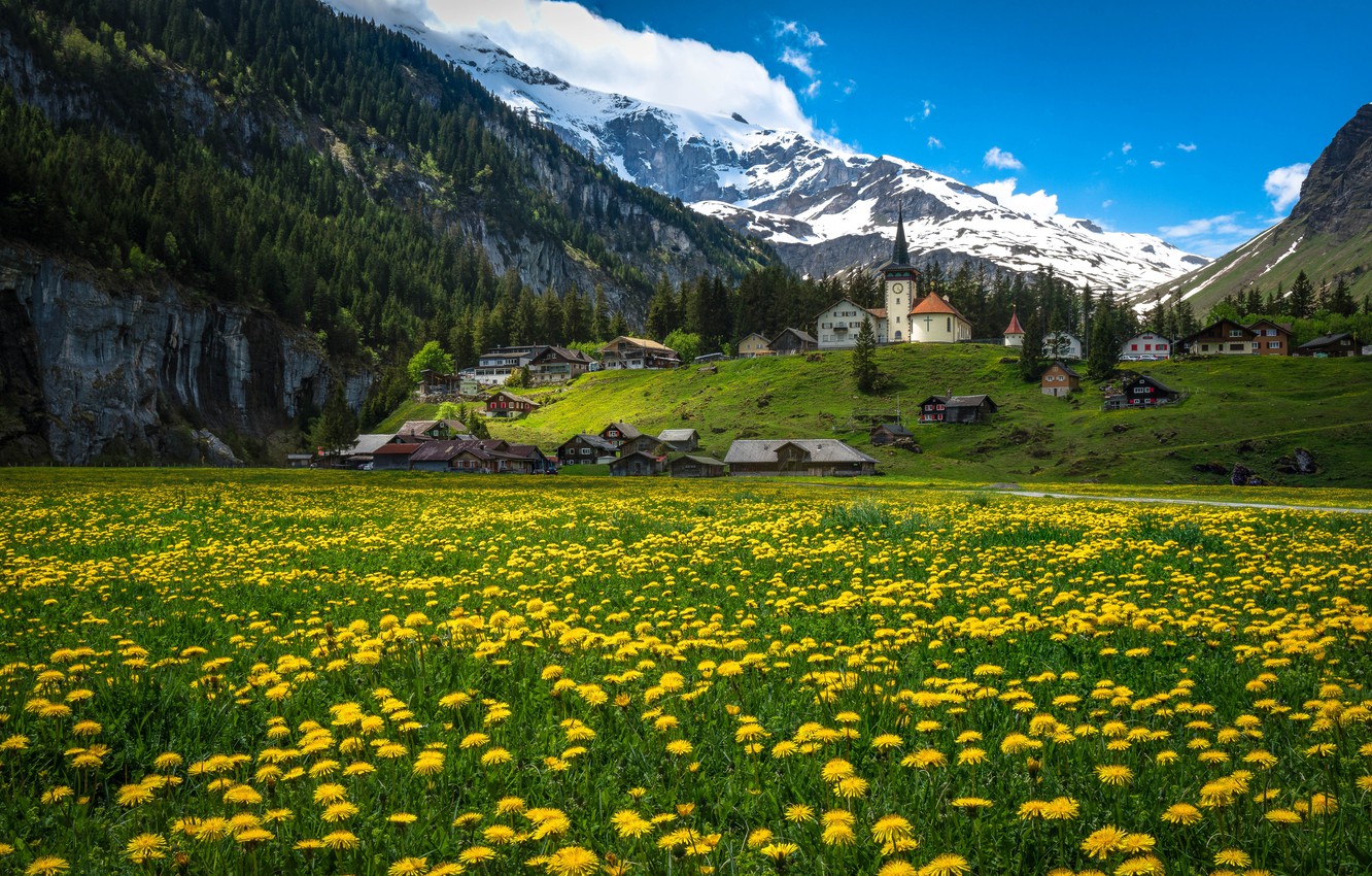 Wallpaper Flowers Mountains Home Switzerland Village Alps