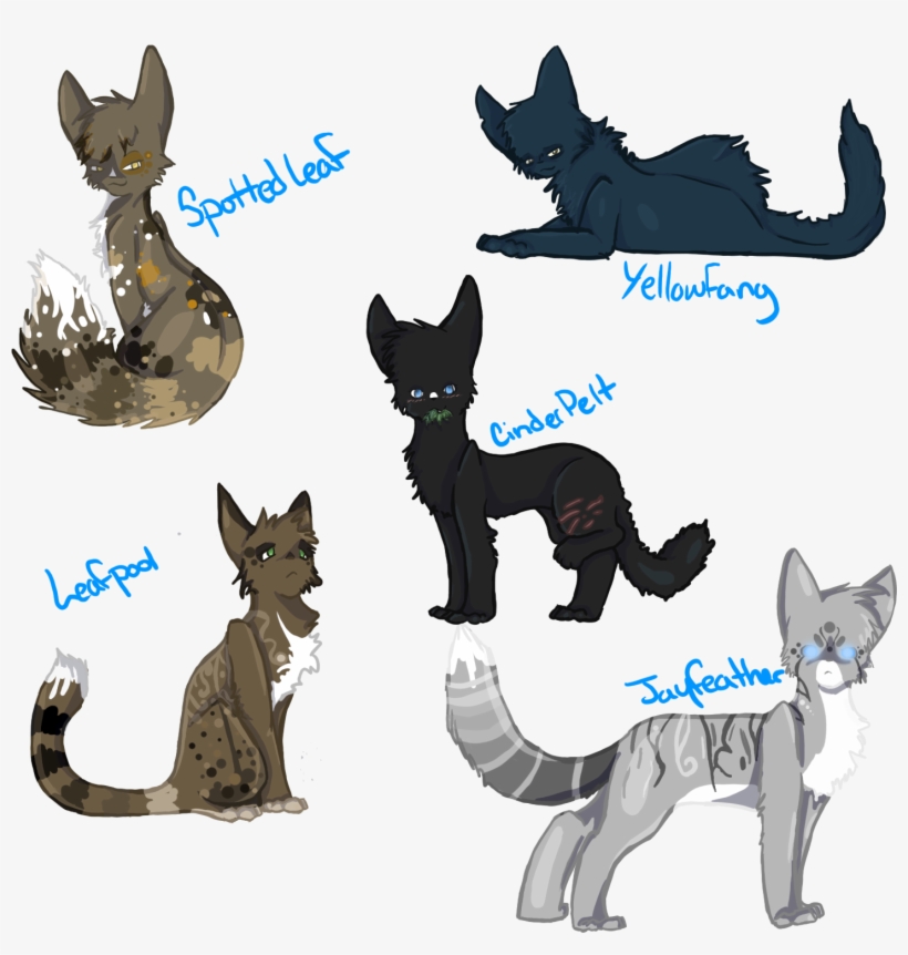 Warrior Cats Book Series Image Medicine Of Thunder