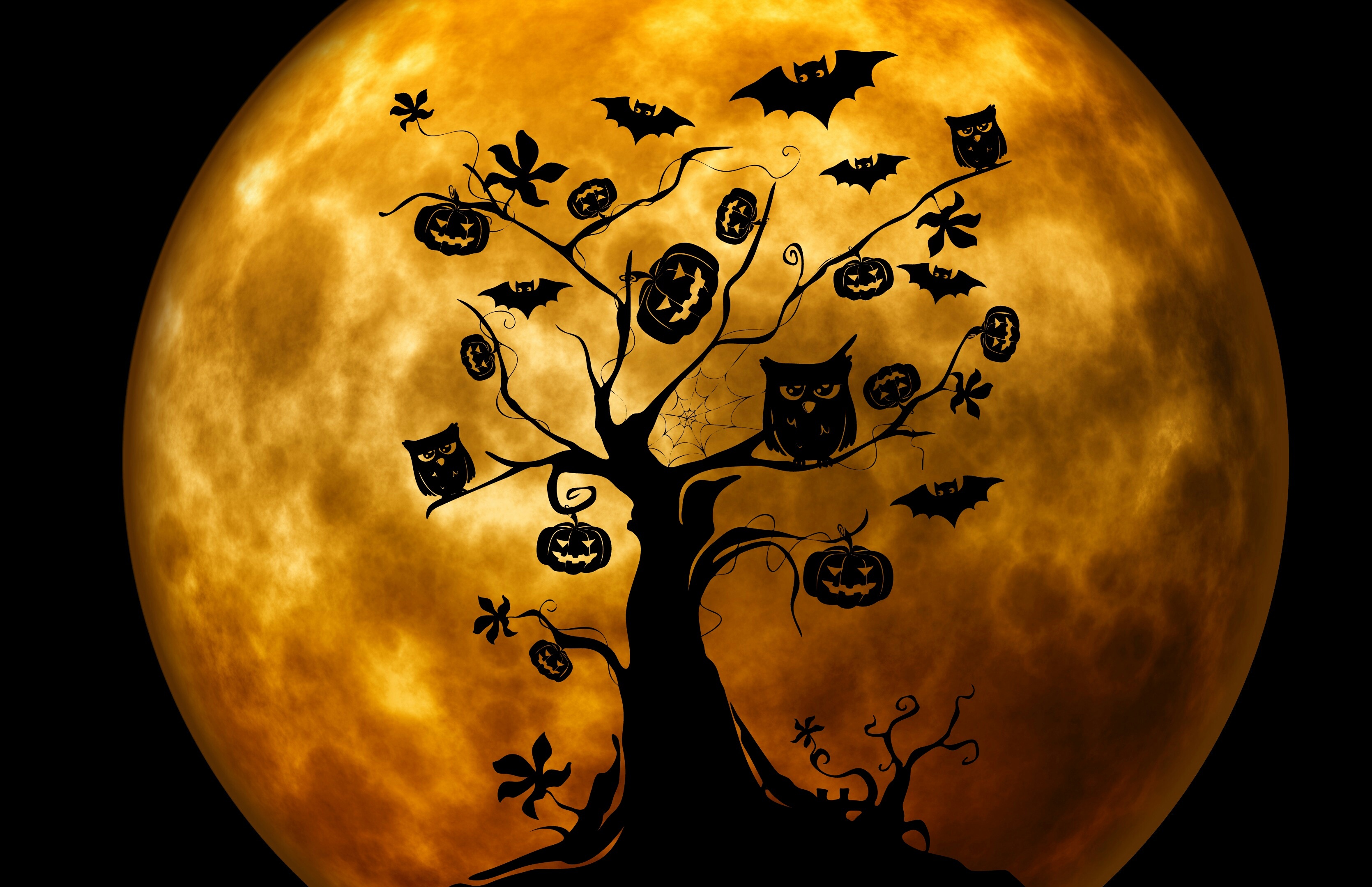 Halloween Tree And Orange Moon HD Wallpaper Background Image