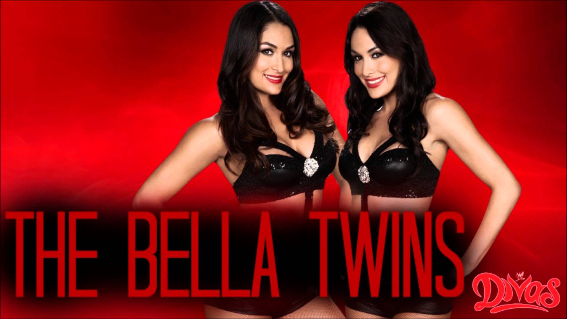 Displaying Image For The Bella Twins Wallpaper