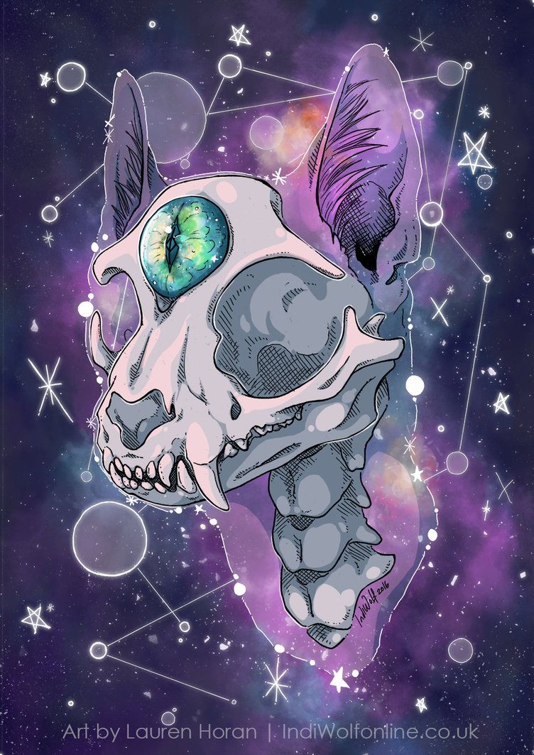 Mystic By Indiwolfonline Gato M Stico Esqueleto Con Ojo Ink