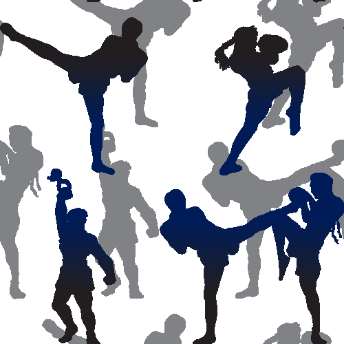 Kickboxing Muay Thai Original Background Image