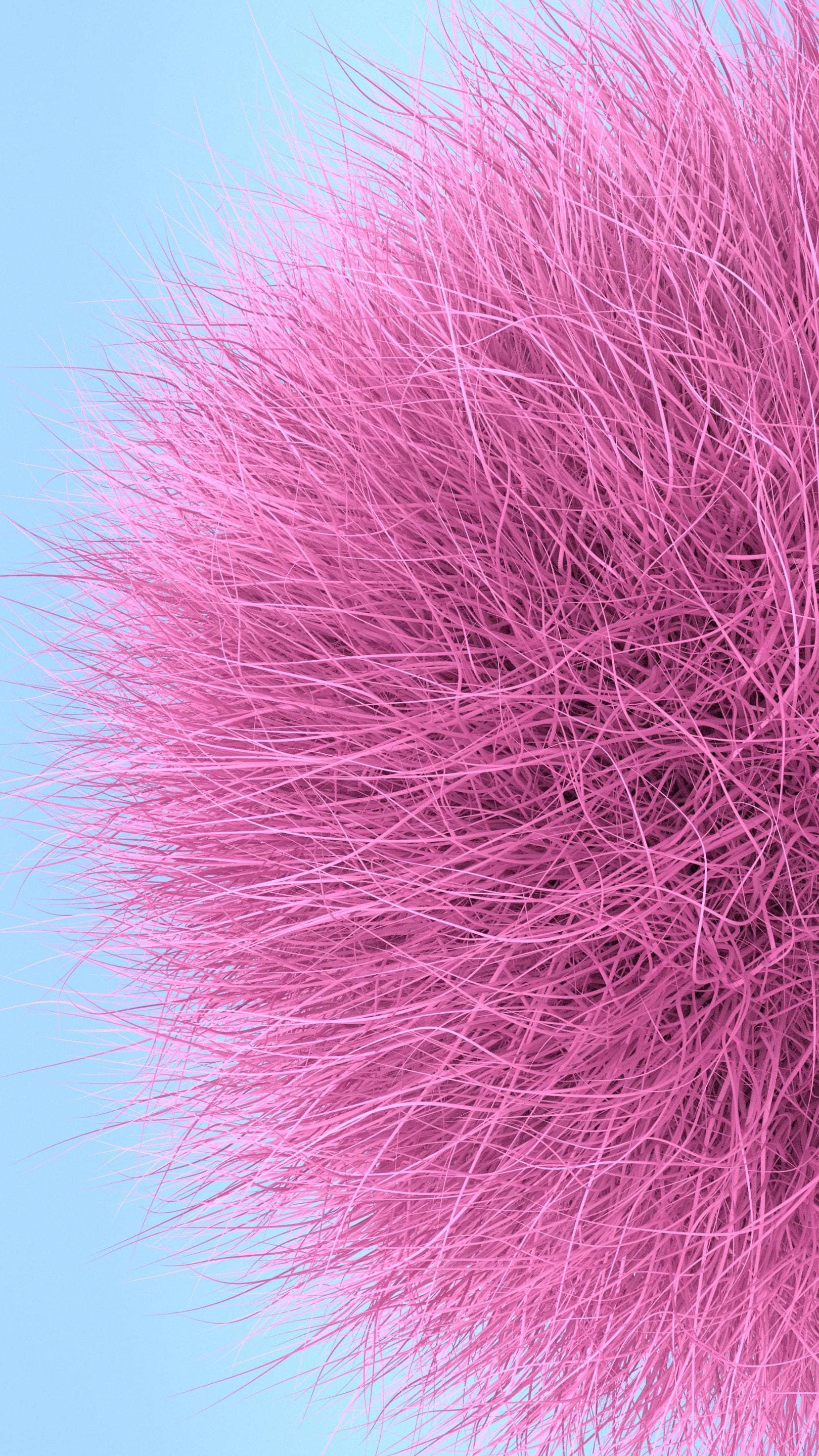 Fur Wallpaper