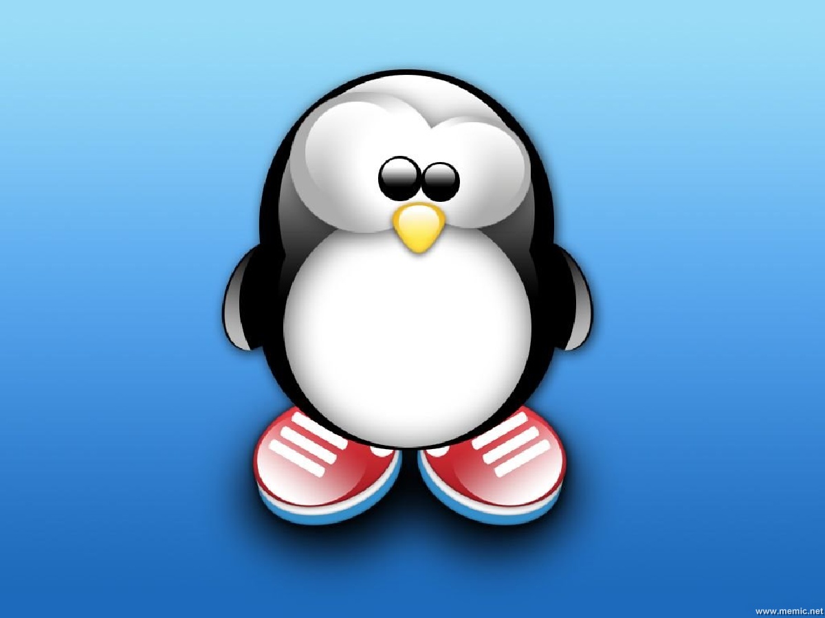 Per Visualizzare Lo Sfondo Di Linux Pingu In Dimensioni Intere Ovvero