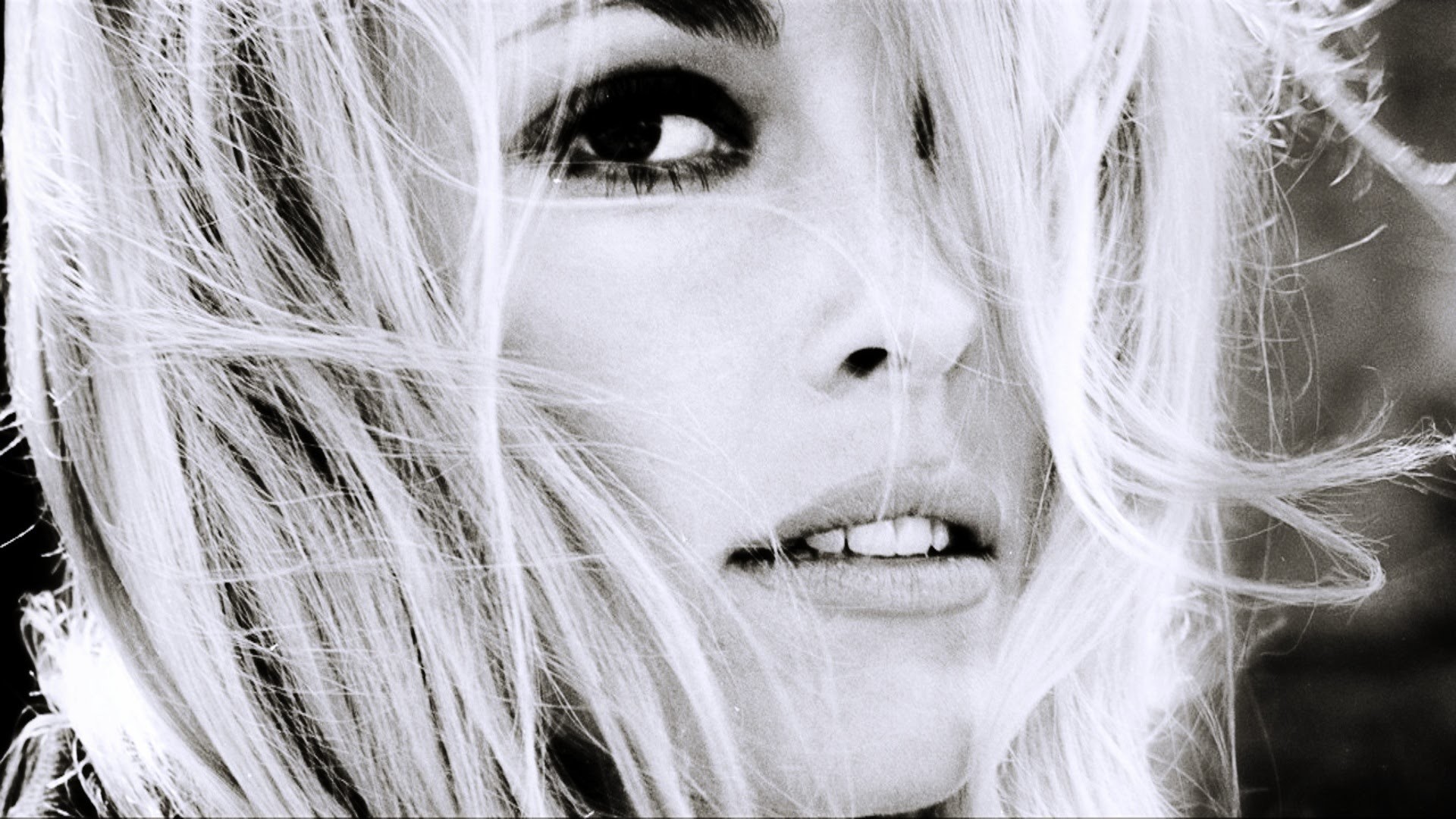 Sharon Tate Wallpaper