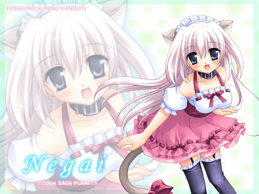 Anime Cat Girl Wallpaper 1024x768 cute cat girl 92 1024x768