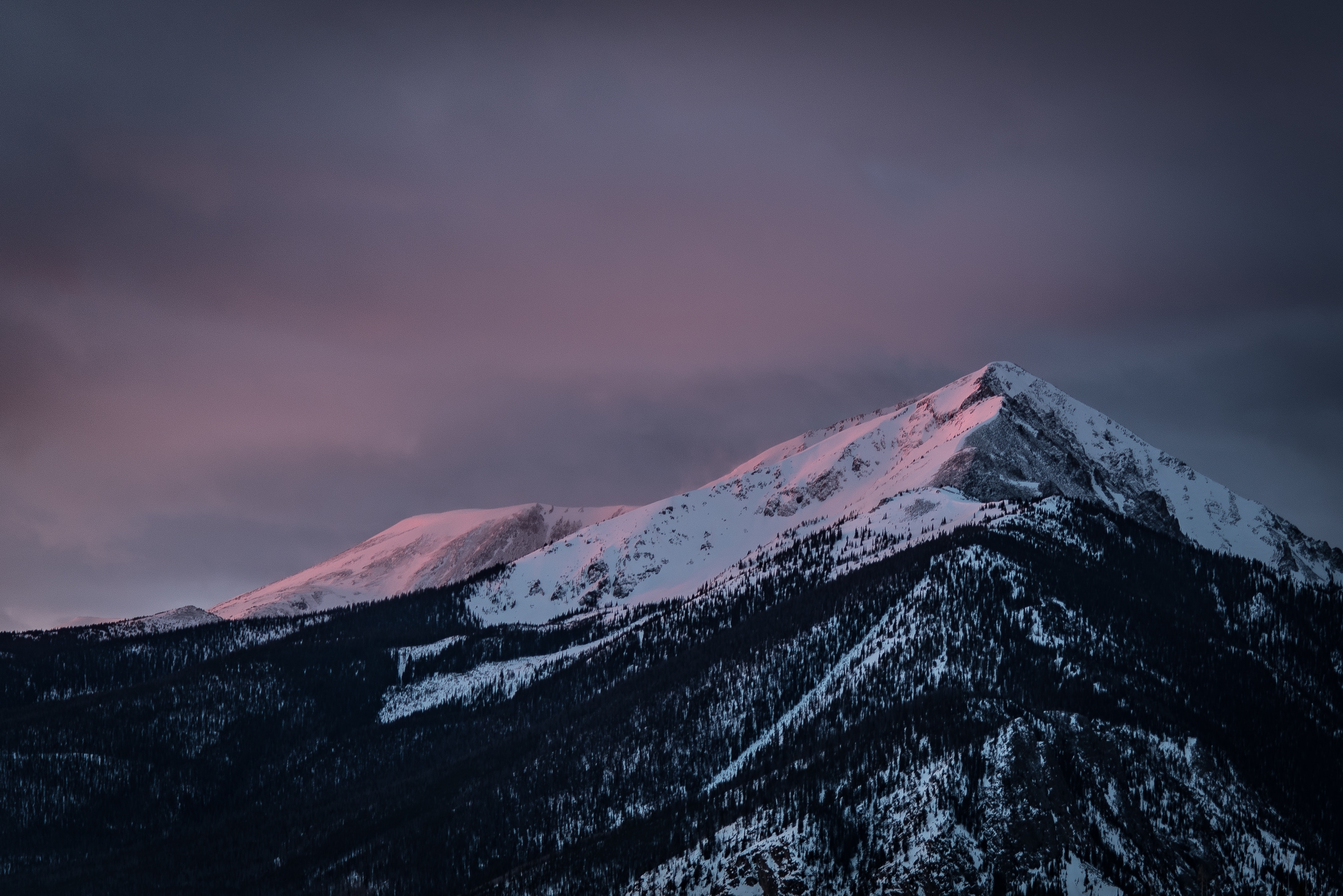 Nature Snow Trees Mountains Dark Sky Wallpaper HD Desktop