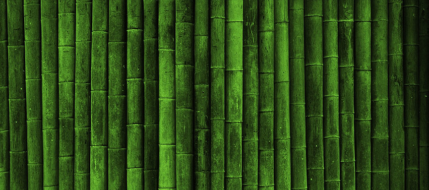Bamboo Wall Cover Timelinecoverbanner