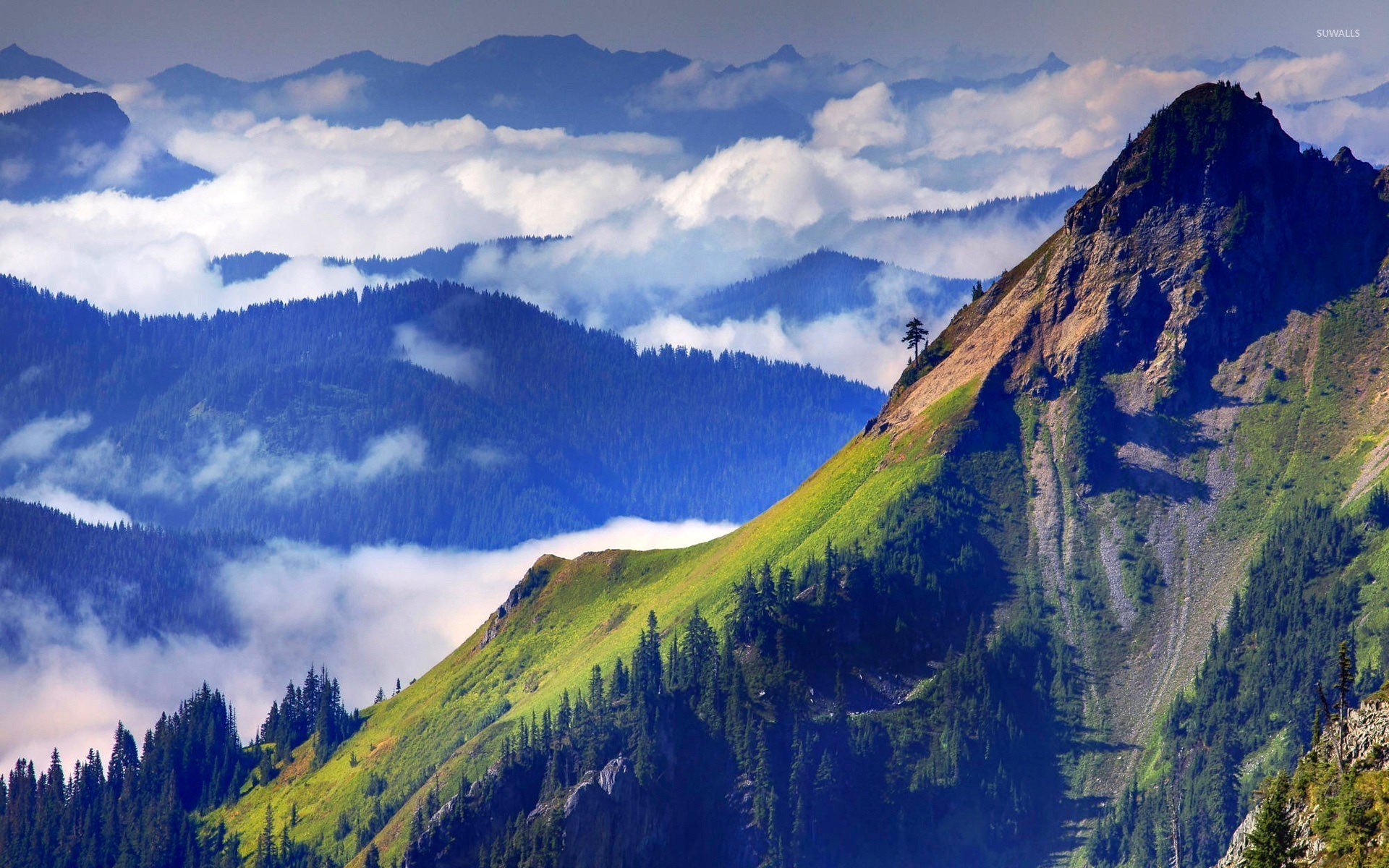 Mountain Tops Mixing With The Clouds Wallpaper Nature