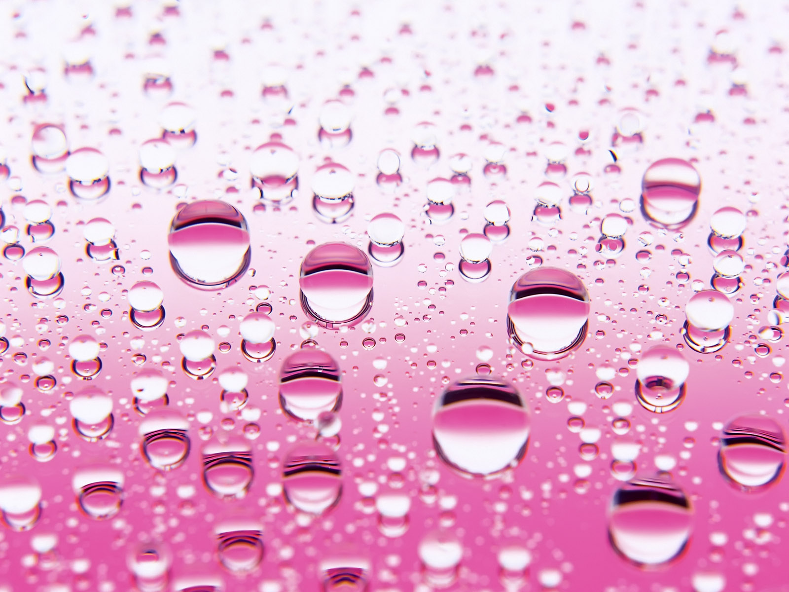 Pink Bubble HD Background