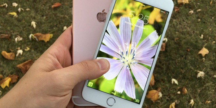 The Moment Live Photos Became Available On iPhone 6s Plus It
