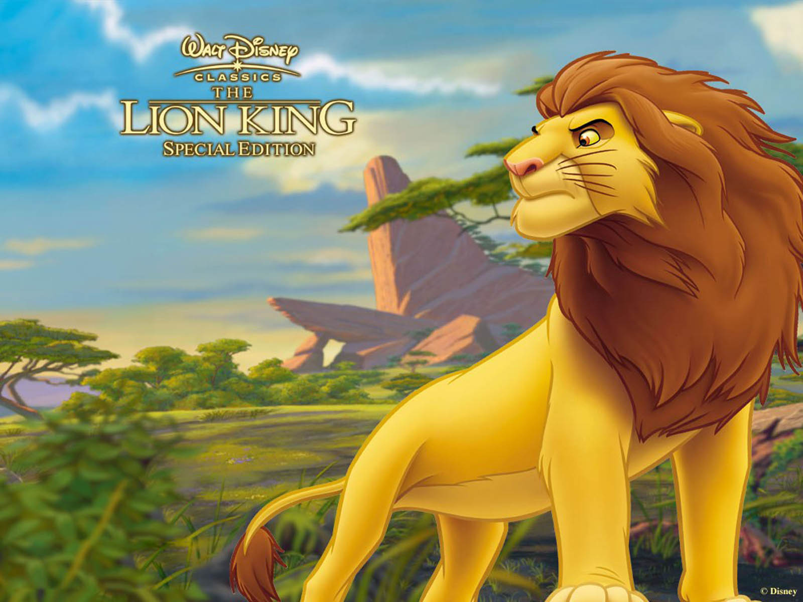 Simba Lion King Wallpaper HD