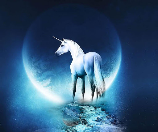 Quality 3d Unicorn Live Wallpaper App Horse Walking In The