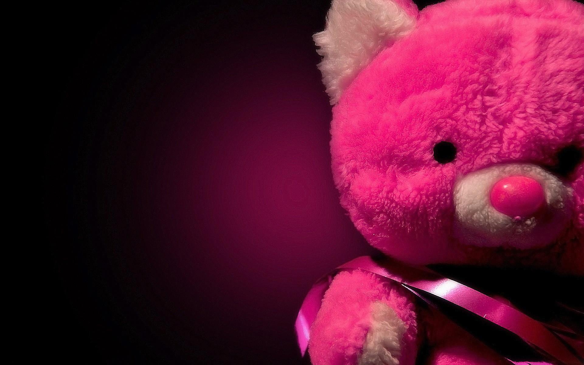 Close-up of a vibrant pink teddy bear against a dark background, adding a touch of cute and cuddly to any pink-themed collection