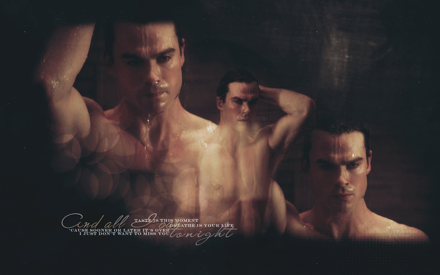 Ian Damon Somerhalder Wallpaper