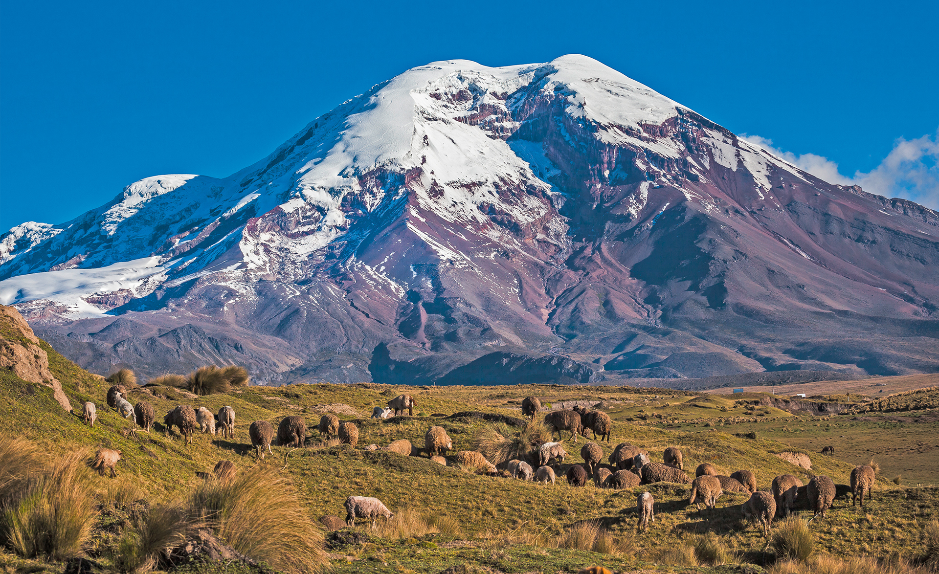 Ecuador Wallpaper Image Photos Picture