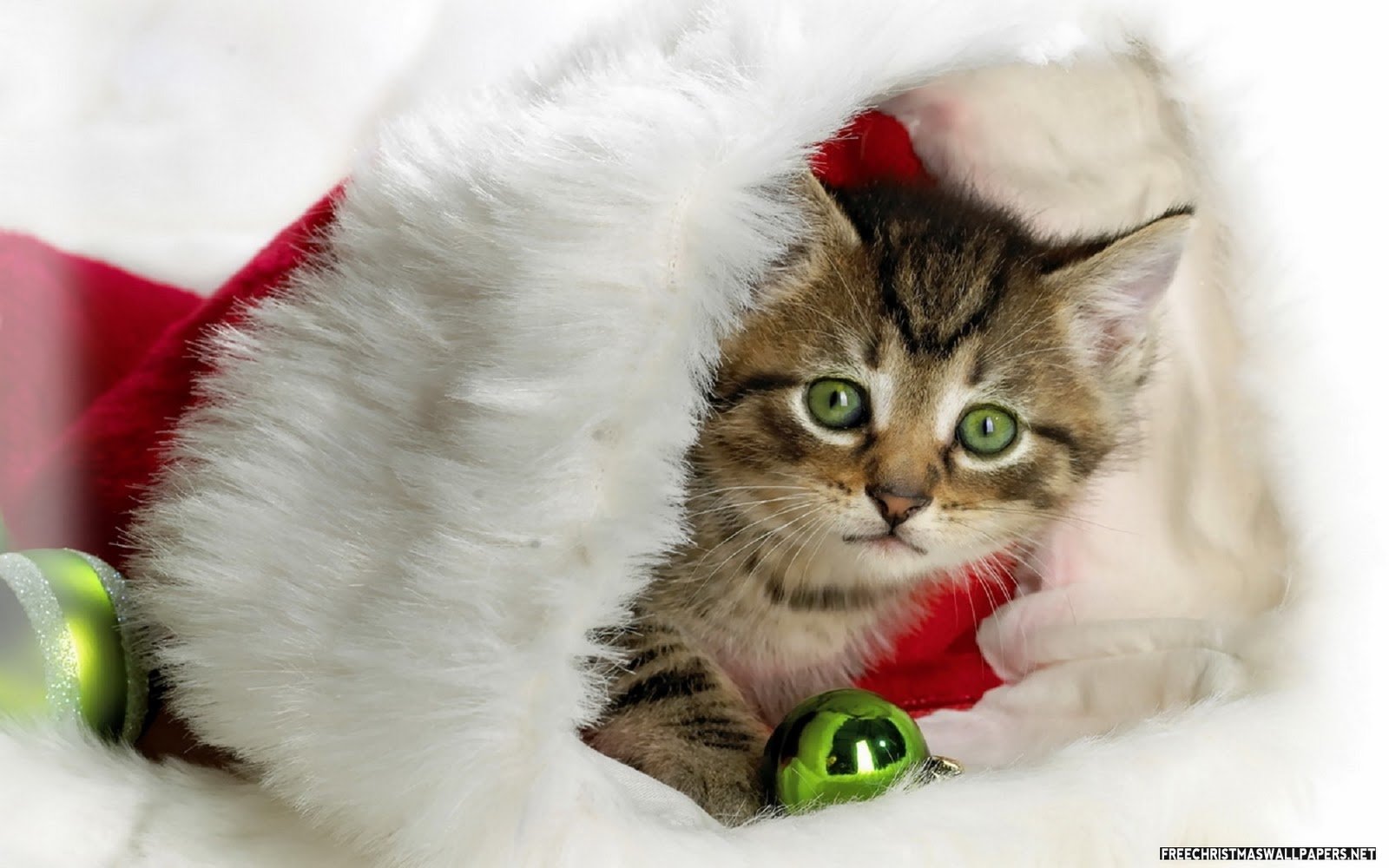 cute christmas wallpapers Amazing Wallpapers