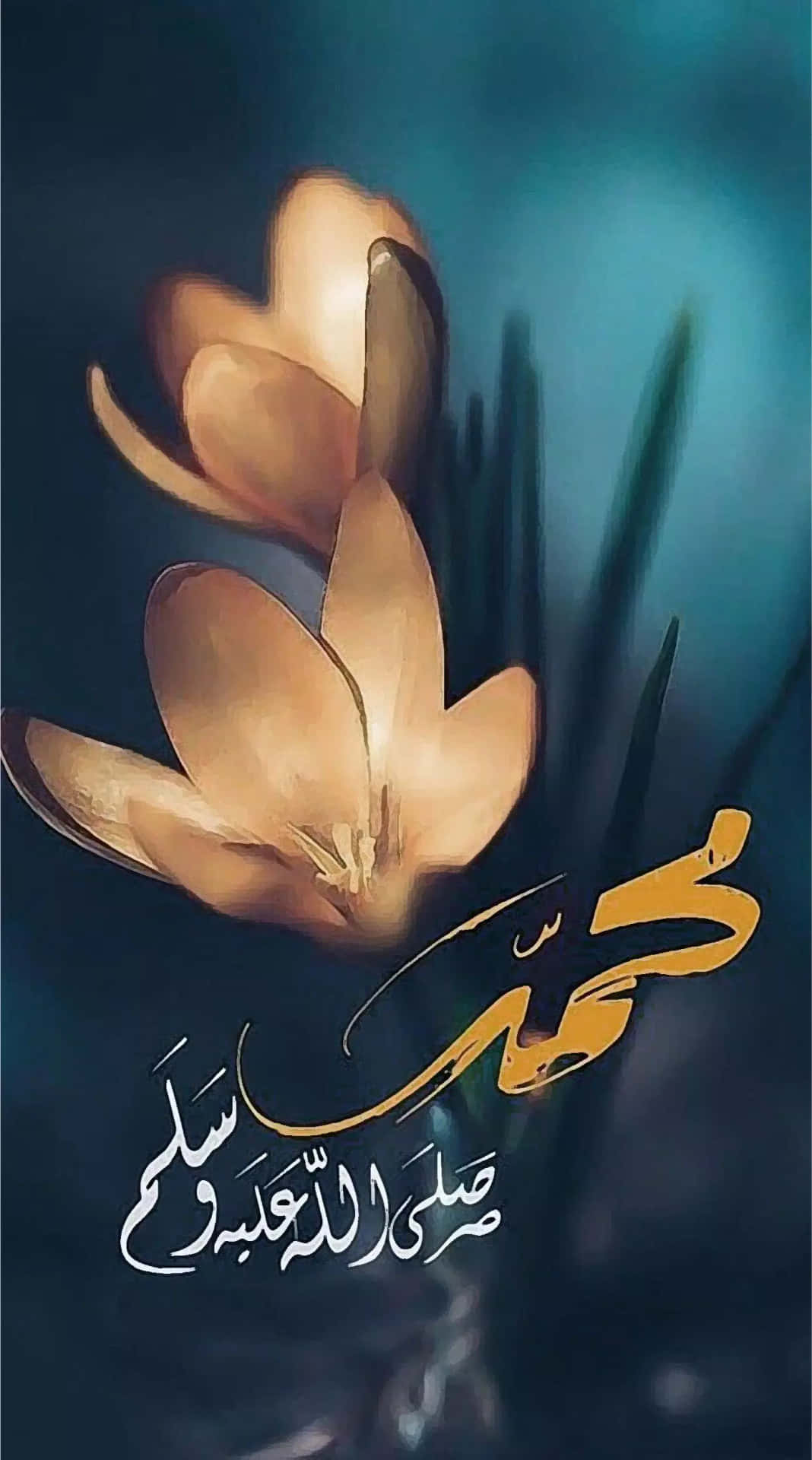 Arabic E0r98a4aygqi0015 Wallpaper