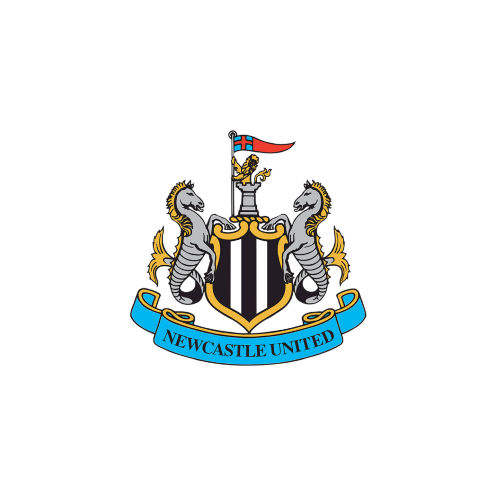 Newcastle United Fc Wallpaper