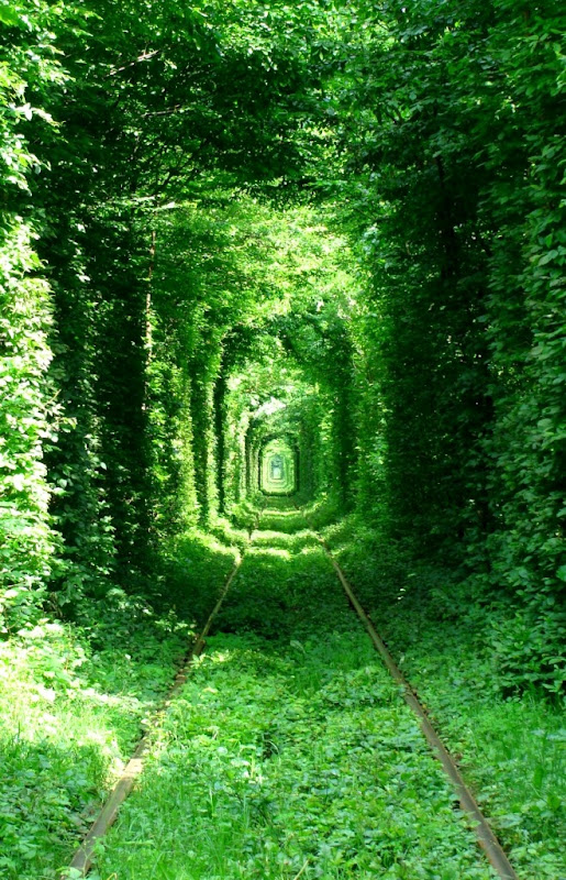 Tunnel Of Love Ukraine