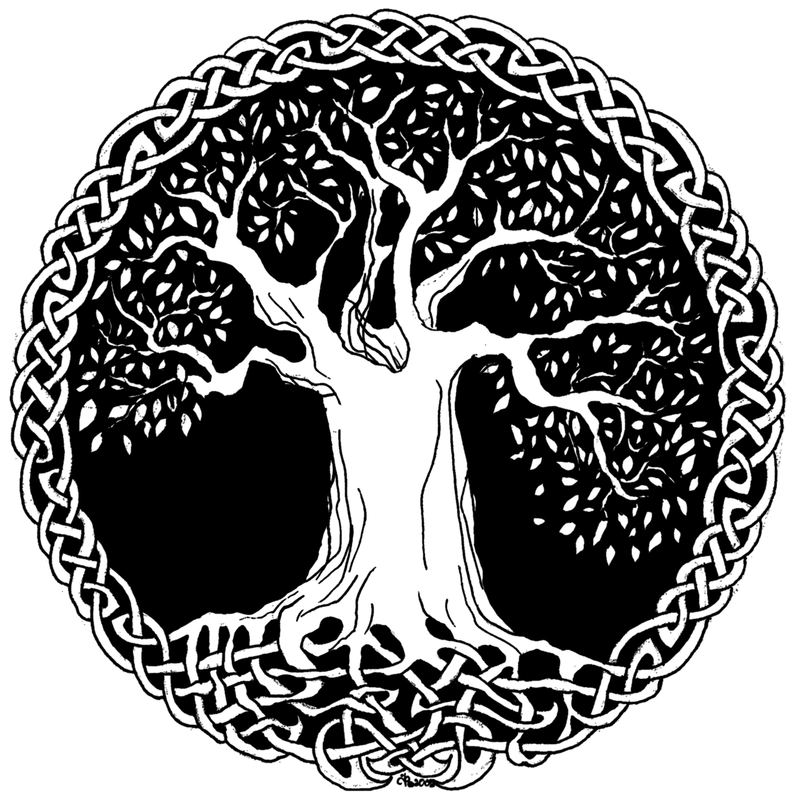 Celtic Tree Of Life Wallpaper Image Pictures Becuo