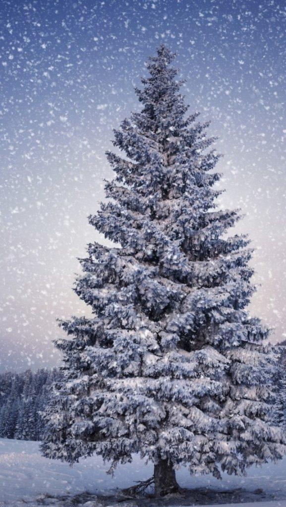 Kongnft Art Collection On X Big Christmas Tree Snow Ios