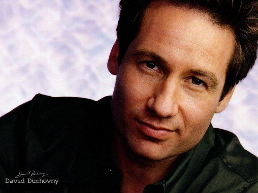 David Duchovny Image HD Wallpaper And Background