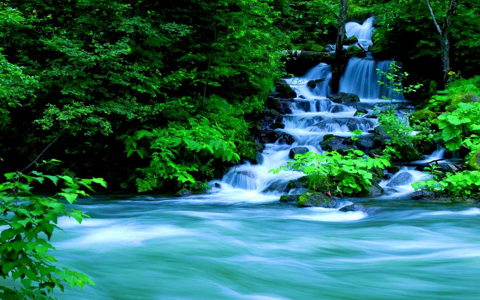 Forest Waterfalls Wallpaper