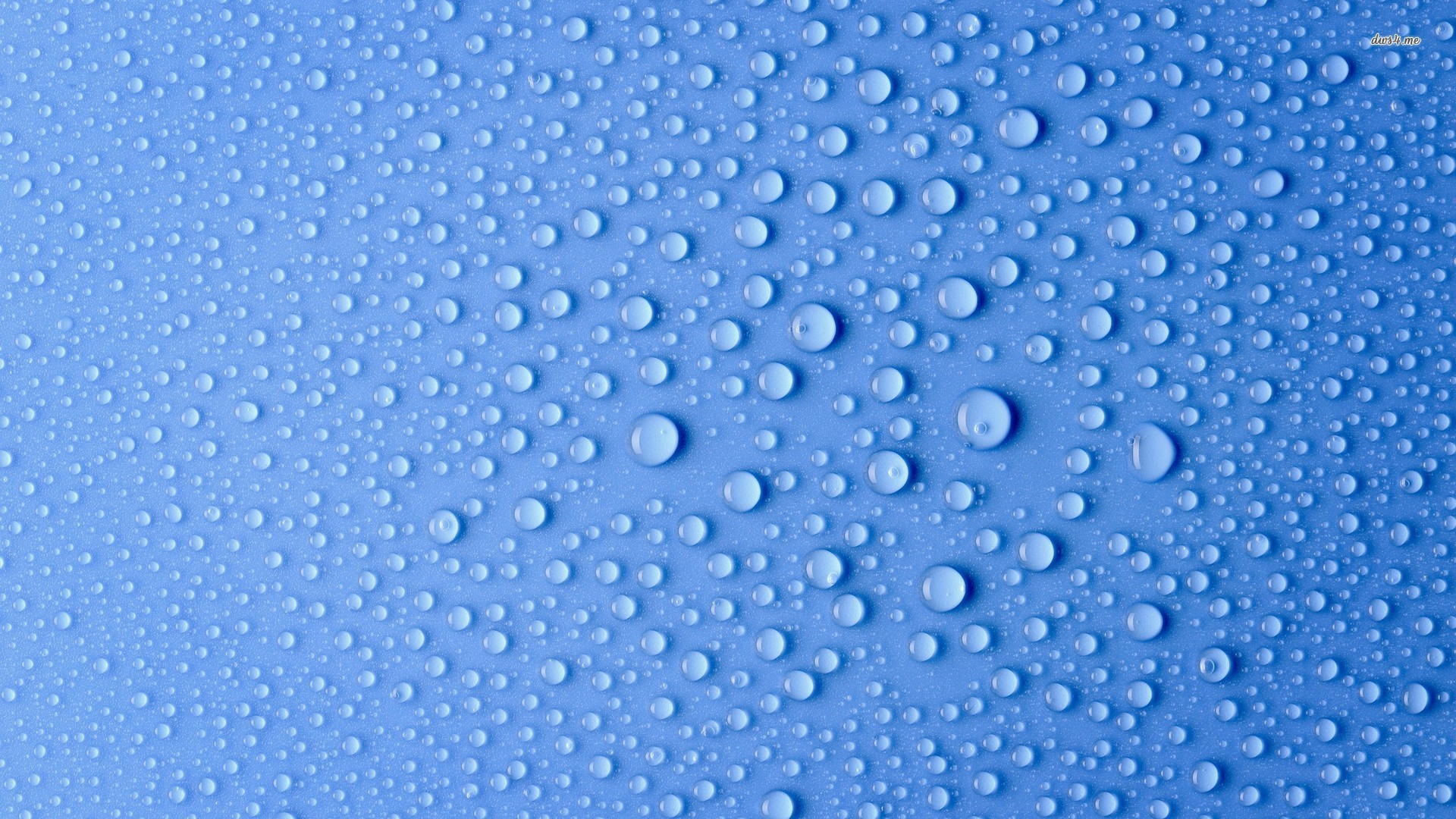 Beautiful Water Drops Wallpapers WeNeedFun