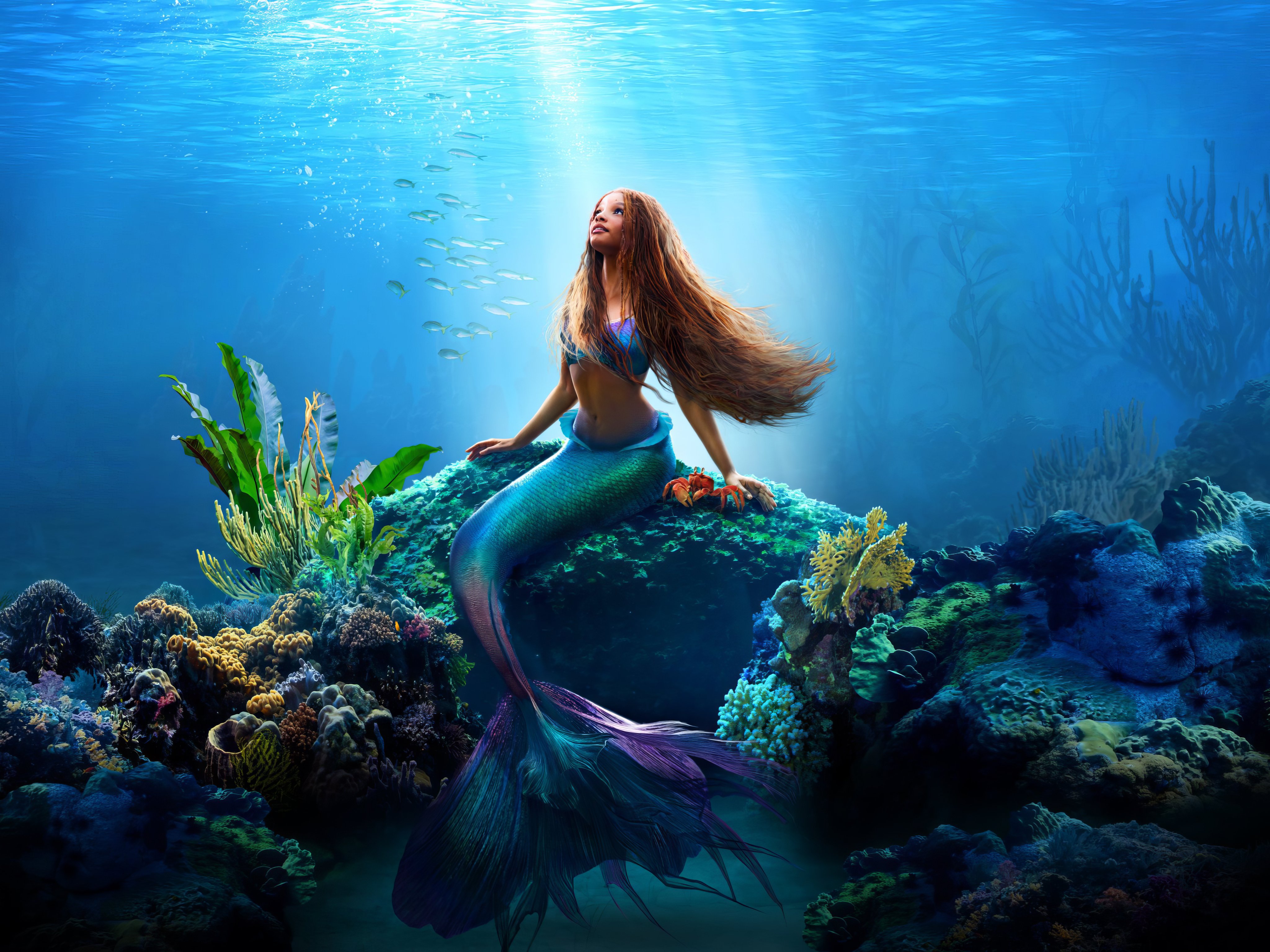 A mermaid with long brown hair sits on a rock underwater, surrounded by vibrant coral and fish, in a digital art piece