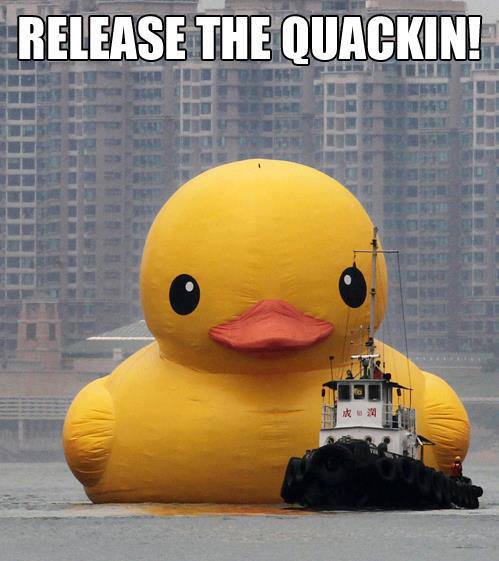 Giant Rubber Duck Meme Release of a giant rubber