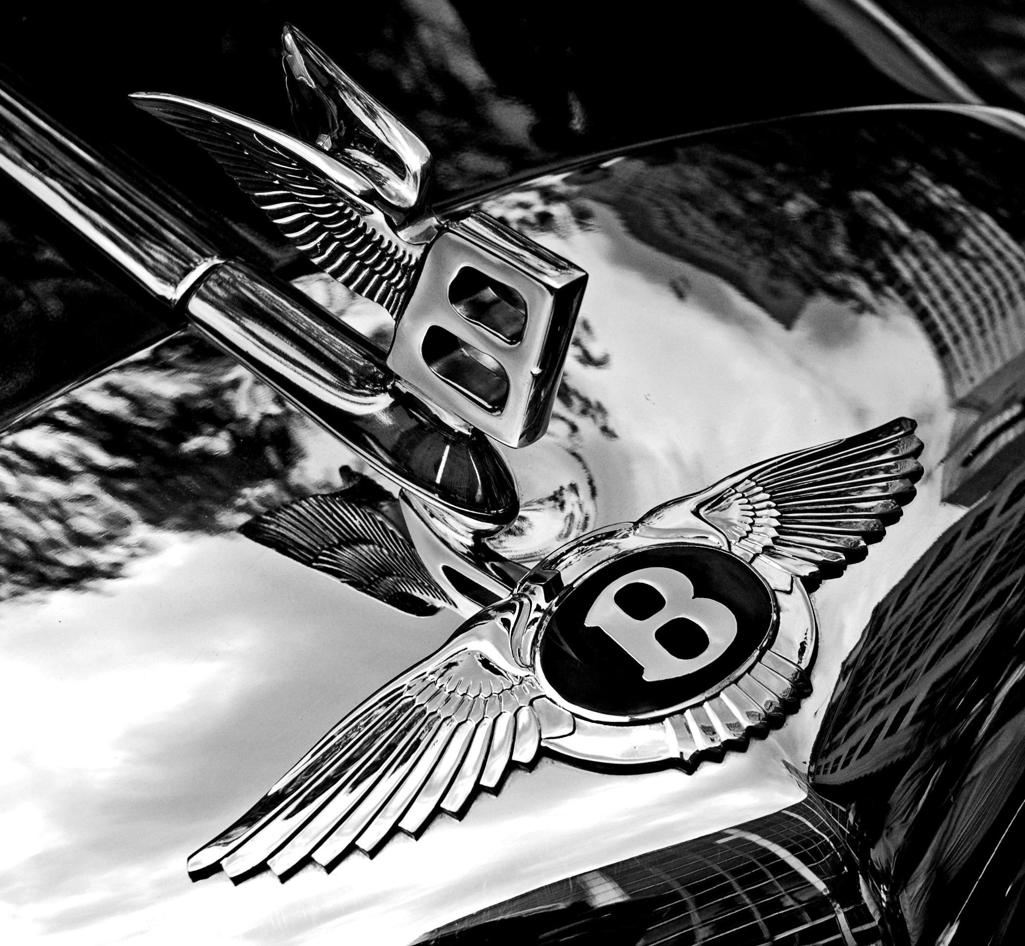 Bentley Logo Wallpaper Pictures Image
