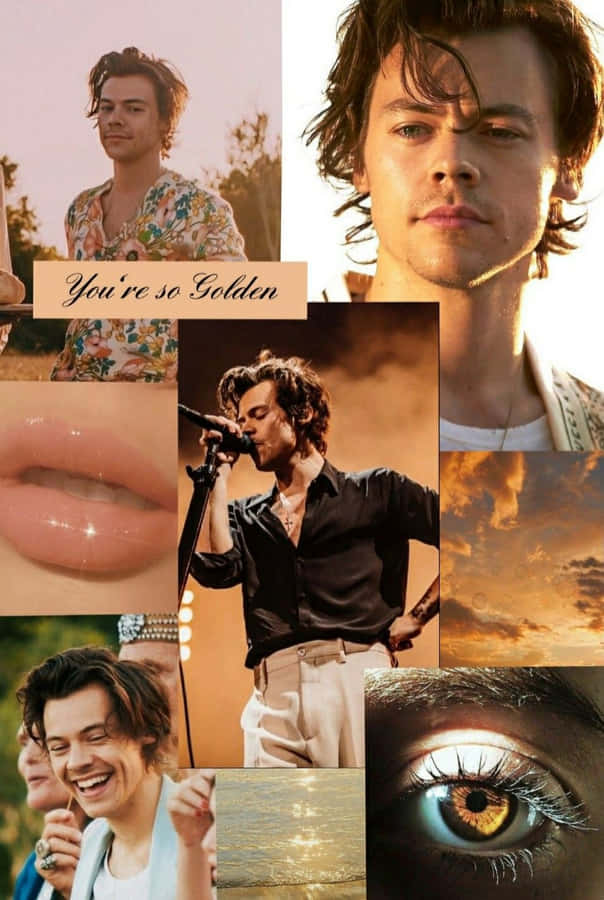 Harry Styles Collage Wallpaper
