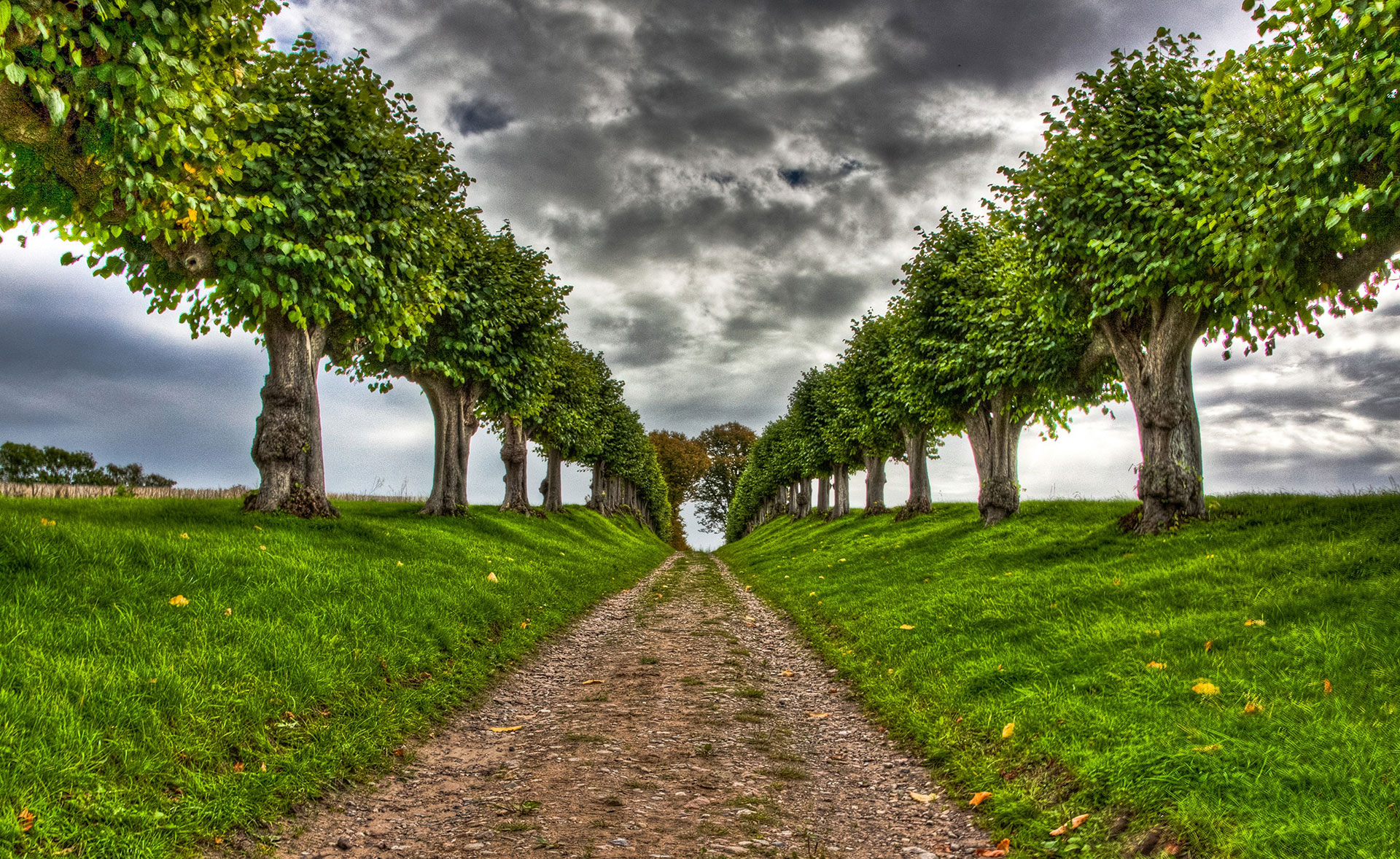 A picturesque dirt path leading through a vibrant green landscape, lined with perfectly trimmed trees under a dramatic cloudy sky