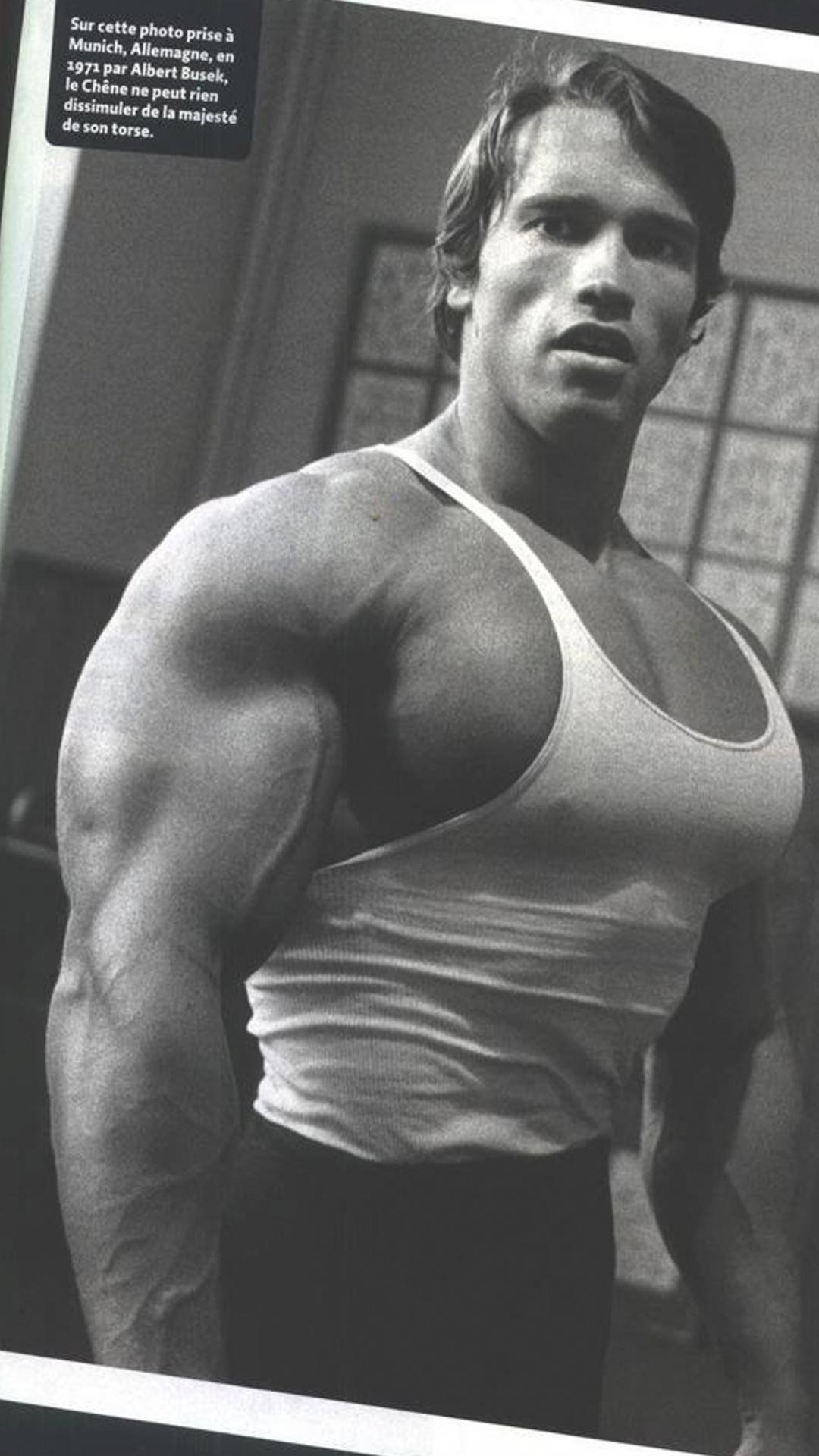 Arnold Wallpaper iPad Retina