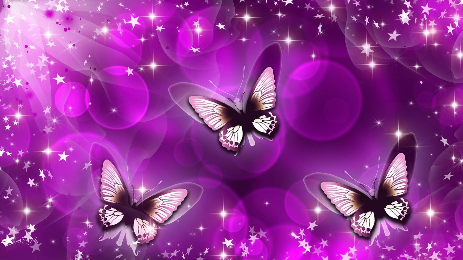 3d HD Wallpaper Animated Butterfly