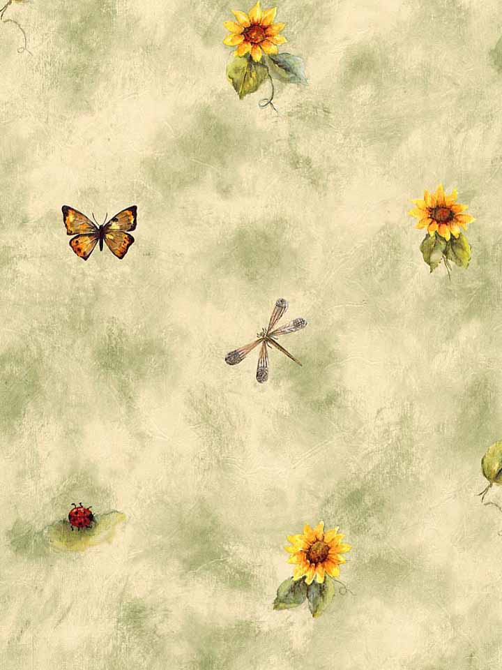 Free download Sunflower Border Wallpaper Sunflower Border [720x960] for