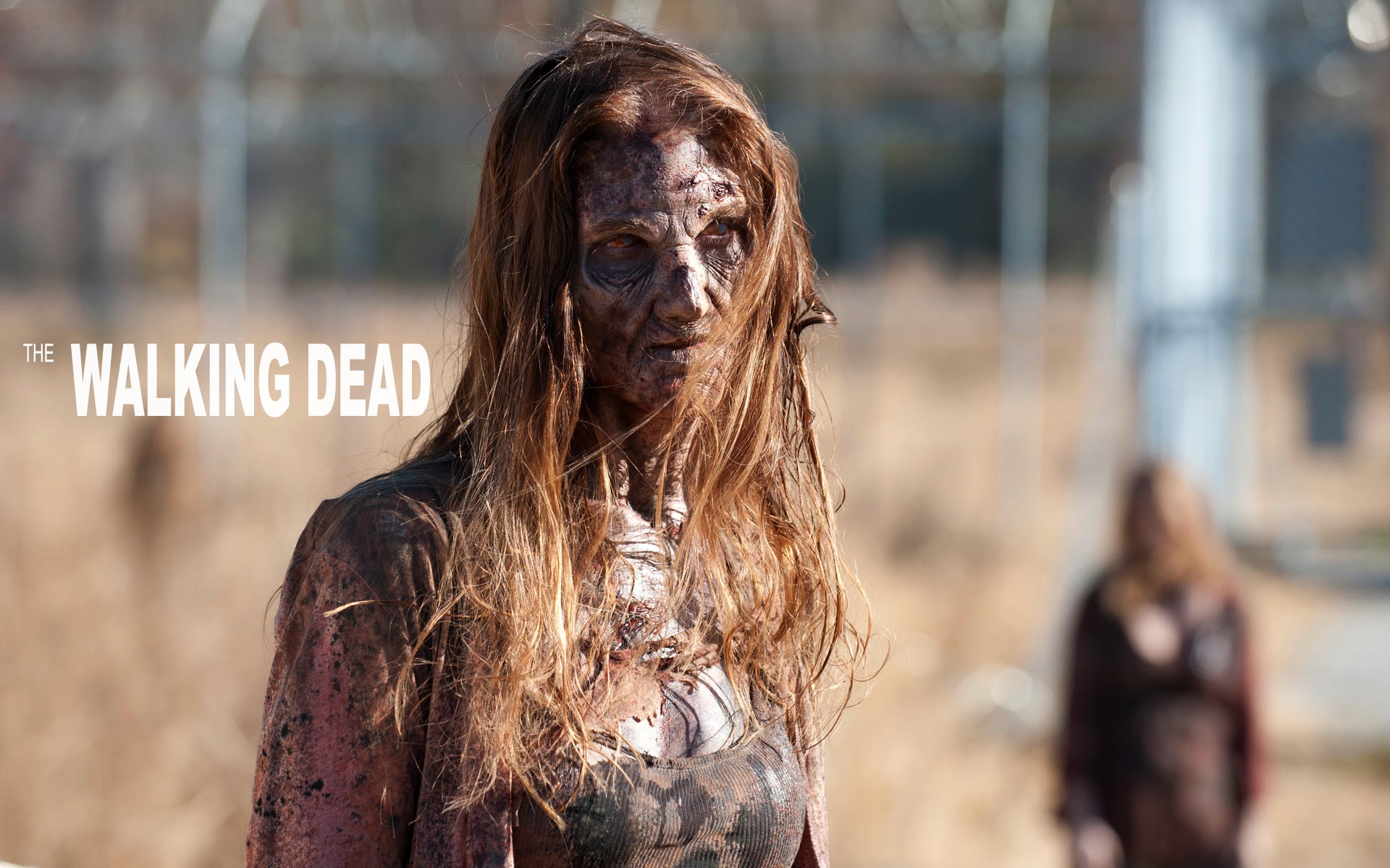 The Walking Dead Female Zombie Wallpaper Hiresmoall
