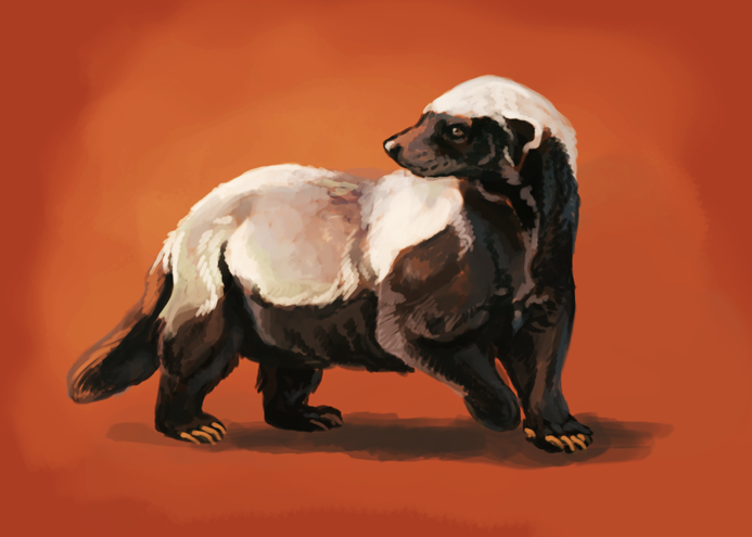Honey Badger Speed Paint By Thornwolf